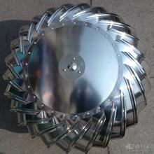 �o�����Lñ