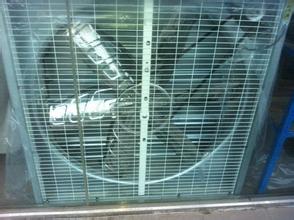 ����ؓ���L�C