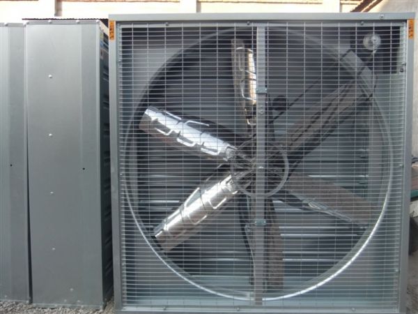 ����ؓ(f��)���L(f��ng)�C(j��)